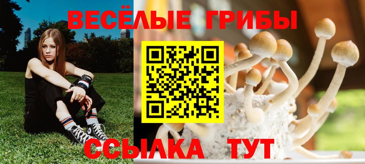 Псилоцибиновые грибы ЛСД  Вход с VPN  Псилоцибиновые грибы Magic Shrooms  Балтийск 